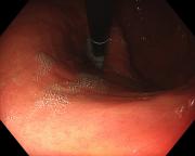 ������������� �����������