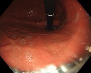 ������������� �����������