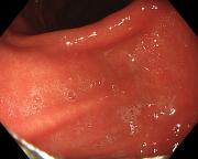 ������������� �����������